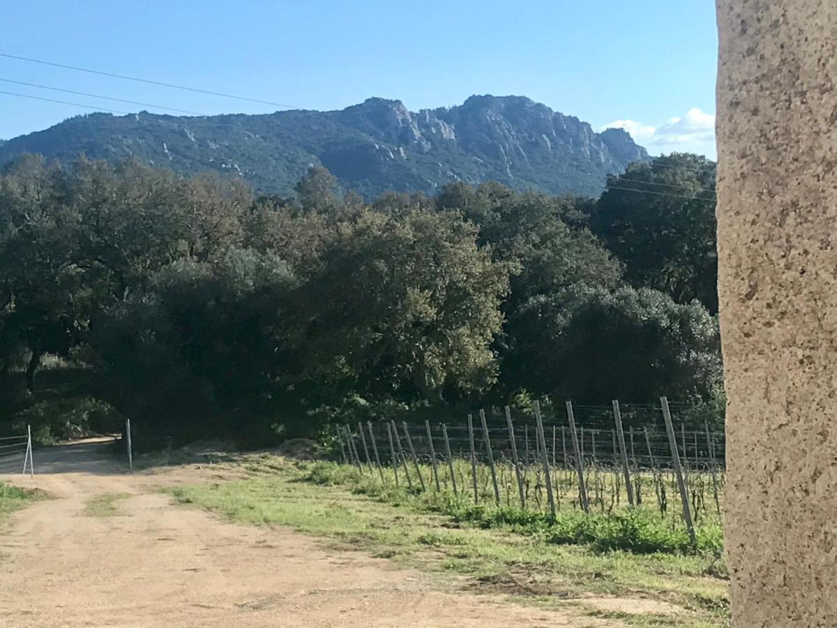 Elegant Country Open Space Deluxe Tenuta Piredu -Monti-Olbia מראה חיצוני תמונה