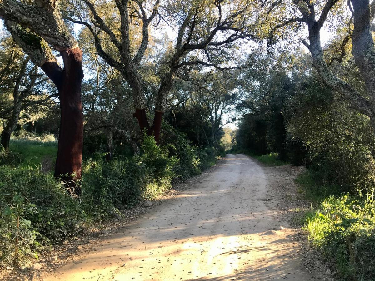 Elegant Country Open Space Deluxe Tenuta Piredu -Monti-Olbia מראה חיצוני תמונה