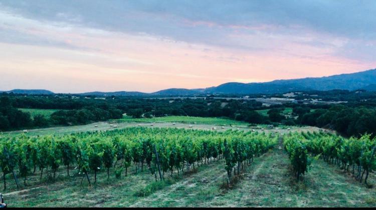 Elegant Country Open Space Deluxe Tenuta Piredu -Monti-Olbia מראה חיצוני תמונה