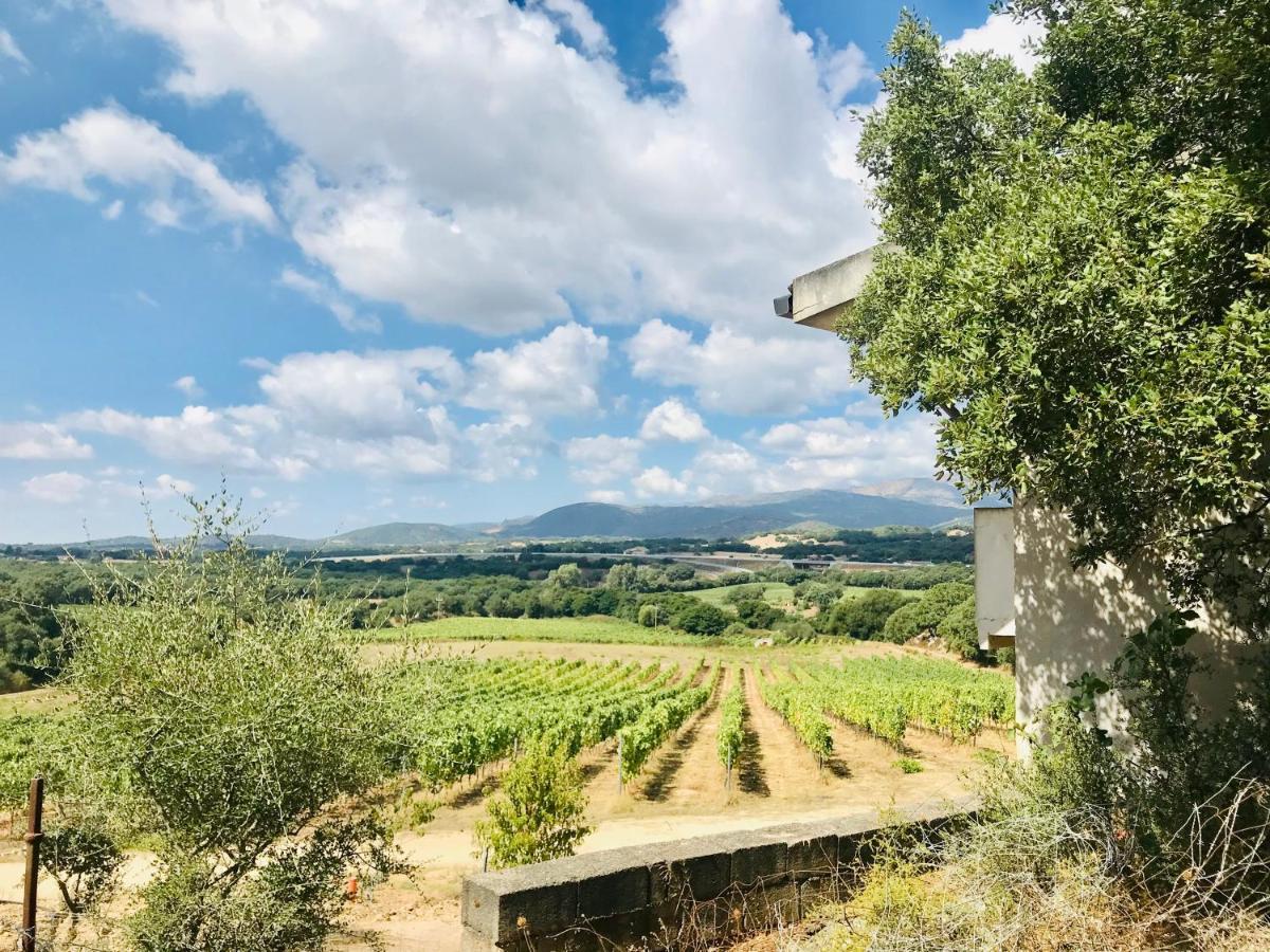 Elegant Country Open Space Deluxe Tenuta Piredu -Monti-Olbia מראה חיצוני תמונה