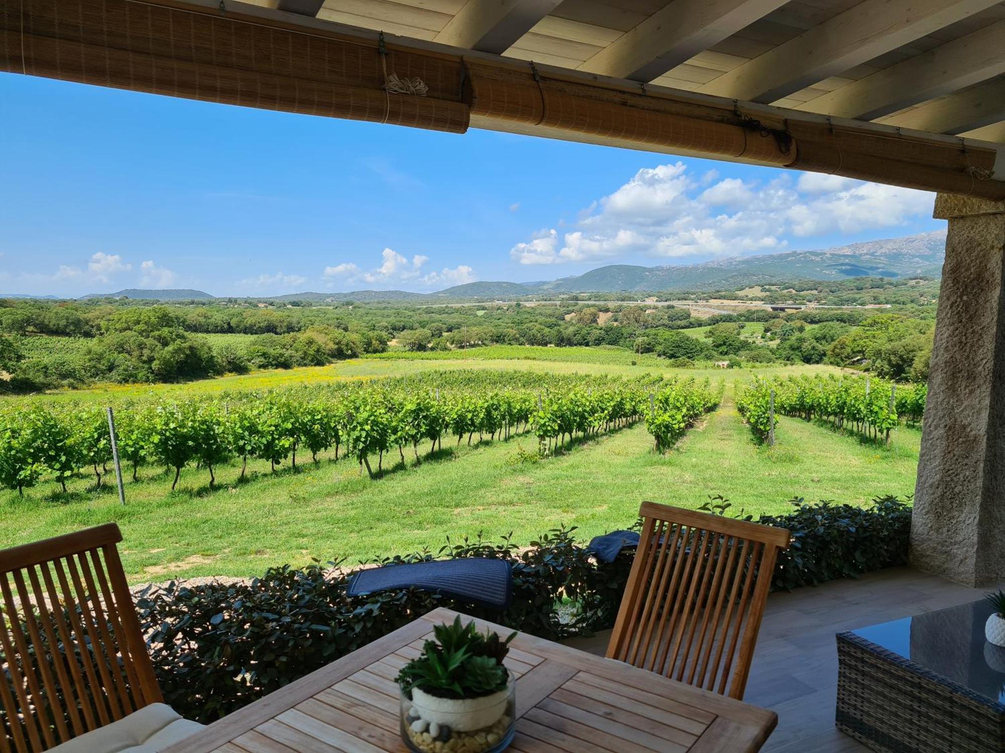 Elegant Country Open Space Deluxe Tenuta Piredu -Monti-Olbia מראה חיצוני תמונה